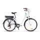 City Electric bike for lady 26 36V 250W 80-130kgs load capacity ,4-6 hours charging time