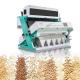 White / Parboiled Rice Sorting Machine High Capacity 5 Chutes Color Sorter With Good Price