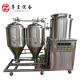 30L / 50L / 100L Home Beer Brewing Equipment Electric Heating Turnkey Project