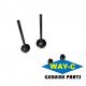 Motorcycle Engine Intake And Exhaust Valves 12911H16200H000 / 12912H16200H000