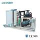 Commercial Ice Flaker Machine Ecofriendly Gas R404a Freon Refrigeration