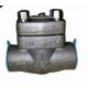 Forged SW / NPT Non Return Check Valve Small Water Hammer Pressure One Way Valve