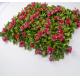 Decorative Anti UV Artificial Plant Wall Panel 4*25 For Outdoor Synthetic Landscape