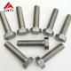 Gr2 Gr5 Titanium Bolts Nuts , M8 M10 M12 Anodizing Titanium Hex Head Bolts