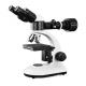 Economic Optical Light Microscope , Monocular Compound Light Microscopy