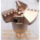 ISO9001 PDC Drag Bit 113mm Diameter For Water Well Drilling And Oil