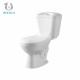Elongated Ceramic Two Piece Toilet Bowl Floor Mounted S/P Trap 300mm
