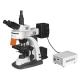 7606 Fluorescence microscope China Manufacturer
