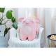 Crown Cute Pig Cuddly Toy , Mascot Plush Toys 45-55cm Size For Girlfriend Gift
