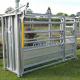Galvanized Steel Fence Cow Ring Hot Galvanized Livestock Fencing Squeeze Chute Hot Dipped