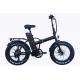 48v 250W Folding Fat Tire Ebike 20 inch with Multifunction LCD Display