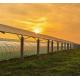 Building Materials Steel Structure Multi-Span Arch Type Photovoltaic Greenhouses jx-SG-9