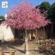 UVG silk peach flowers artificial blossom trees with high sumulation trunk for themed weddings CHR156
