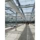 Modern Rectangular Glass Greenhouse With Durability And Uv Protection