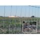 80kgs/Mm2 5ft Tall Wire Mesh Garden Fencing With Hinge Knot