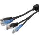 For PoE 8P8C Blue Pvc Material Molded Cable Harness With Modular Plug