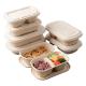 Take Away Compostable Sugarcane Container Lunch 2 Compartment Food Containers