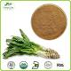 Natural Wild Lettuce Extract Powder