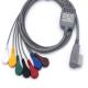 ISO13485 Recorder ECG Holter Cable Portable With 7 Leads Snap