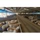 Sliding Door Goat Sheep Steel Structure Farmhouse for Wind Load 200 Km/h and Livestock
