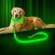 USB Rechargeable LED Dog Leash 47.2 Inch 120cm Reflective Night OEM ODM Available