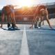 Eco Rubber Running Track Recyclable Athletic Sports Football
