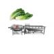 Commercial 304SUS Vortex Vegetable Fruit Washing Machine 1.5T/H