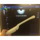 Toshiba PVT-661VT Endovaginal Ultrasound Scanner Probe Medical Imaging Device