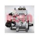 OEM Bosch Electronic Unit Pump 0445020245 612640080039 Mercedes Benz Engine