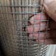 2x2 Inch Hole Size Stainless Steel Welded Wire Mesh Galvanized