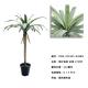Greenery Sago Palm Single Pole 	Artificial House Plants 122 CM 152 CM 180 CM