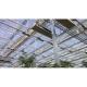 Mushroom Equipment Greenhouse For Vegetable Agriculture With Steel Frame