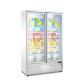 Big Capacity Vertical Display Case Freezer With Double Glass Door