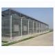Large Agricultural Greenhouse with Galvanized Steel Frame and Optional Cooling System