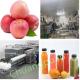 380V 50Hz 15T Apple Juice Production Line Cold Pressing