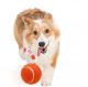 Custom Rubber Tank Padel Tennis Ball For Pets Polyester Material