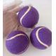 Squeaky Tennis Balls for Large or Small Dogs and Puppies - Dog Training Toys for Positive Reinforcement