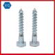 DIN 571 Hex Head Stainless Steel Self Tapping Wood Screws Blue White