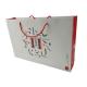 Paper Shopping Bags Custom Design Cardboard Material Logo Printing Paper Bag with Red Color Rope Handle