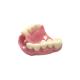 CAD CAM 3D Printing Dentures Natural Color Denture Dental Lab