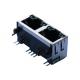 MTJG-2-88ARX1-FSM-PG-LG 1X2 RJ45 Connector without Magnetics LPJE201AGNL