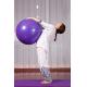 PVC Yoga Ball for trainers Premium gymnastic yoga exercise ball fitness ball
