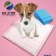 Deodorizing And Antibacterial Fast Absorption Pet Pad
