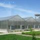 Commercial Polycarbonate Sheet Greenhouse / PC Sheet Greenhouse Customized Material