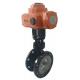 WCB Electric Actuated Ball Valve