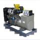 115*120mm Bore Stroke Diesel Electricity Generator Set Three Phase