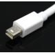 M55 Mini DP to Mini DP cable, Mini DisplayPort to Mini DisplayPort Cable male to
