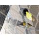 Silvery Outdoor Aviary Netting Stainless Steel Strong Toughness For Bird Fencing