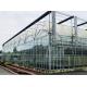 Maximize Your Greenhouse Potential with Glass Enclosed Plant House