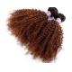Full Cuticles Brazilian 8A Curly Human Hair Extensions No Shedding No Lice